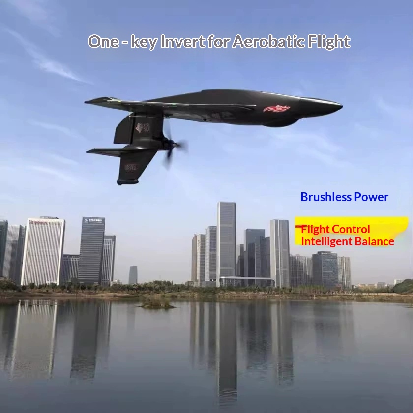 Rc Wing Glider - 6-Kanal RC-Flugzeug H650 Raptor mit bürstenlosem