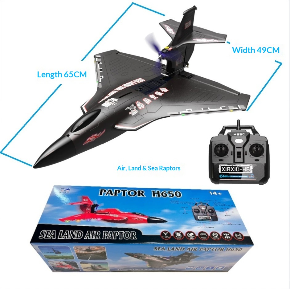 6-Kanal RC-Flugzeug H650 Rapto – Rc Wing Glider Bewertung und Preis